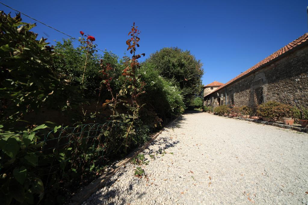 Azienda Agrituristica Seliano Paestum Eksteriør billede